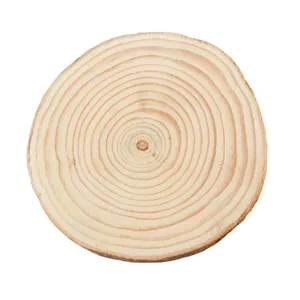 Natural wood slice tray round tree ring coaster rustic candle base home decoration.