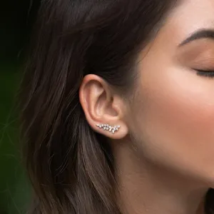 Elegante Nahaufnahme von funkelndem Sterling Silber Blatt Ohrring mit brillanten Zirkonia