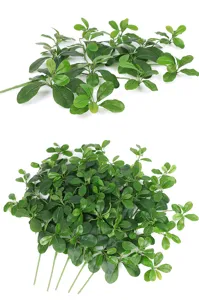 Artificial green plant leaves detail shot, realistic fake foliage for indoor home decoration.