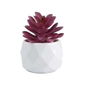 Plante succulente artificielle en pot en plastique géométrique blanc pour décoration.