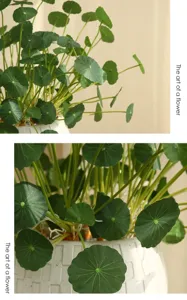 Close-up detail of artificial money leaf plant in white pot, Nordic home interior decor.