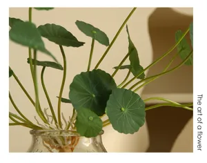 Detailed close-up of artificial money leaf plant in clear glass vase for elegant room decor.