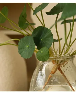 Artificial lotus leaf plant detail shot, elegant indoor decor glass vase green plant.
