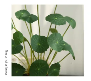 Artificial lotus leaf plant Nordic green money leaf home decor detail photography