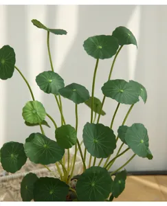 Artificial lotus leaf plant decor Nordic style green money leaf for home living room indoor