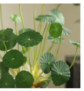 Artificial money plant leaf decoration for home living room indoor Nordic style decor detail