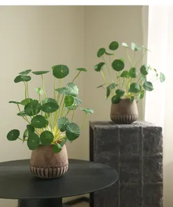 Detailed close-up of artificial moneywort potted plant, elegant retro desktop decor for living room.