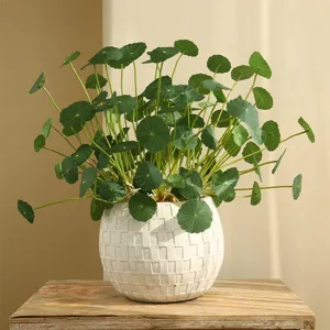 Nordic artificial potted money leaf plant, minimalist green foliage decor for living room.