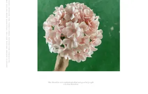 Top view detail of a 3D printed pink artificial hydrangea flower head in a cluster