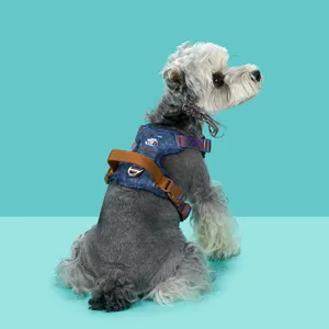 Macro detail of a vintage denim dog harness on a schnauzer with a stylish teal background.