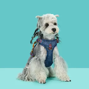Close-up of a stylish retro denim pet harness on a small dog against cyan backdrop