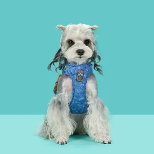 Detail view of a vintage blue denim pet harness with metal ring on a schnauzer dog.