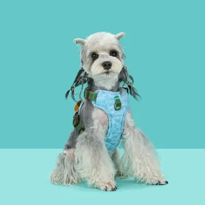 Front view of a dog wearing a light blue denim harness with checkered straps