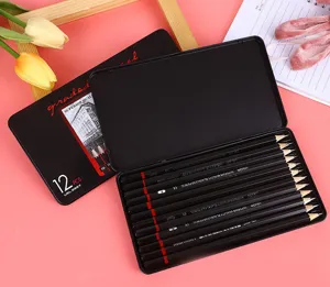 Macro view of professional 12-piece graphite sketch pencil set in a black tin box