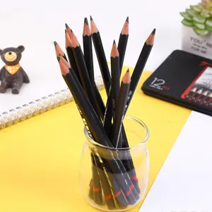 Professional 12-piece graphite sketching pencil set in tin box for artists