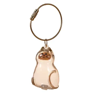 Leuke transparante kattenvormige sleutelhanger voor het bewaren van dierenharen