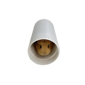 White retractable wire tunnel toy for guinea pigs and rabbits on white background