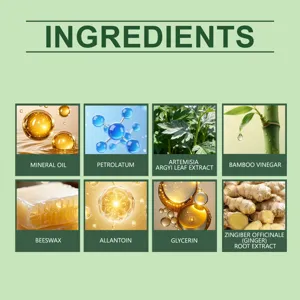 Vista detallada de ingredientes naturales del parche de hierbas con extracto de jengibre