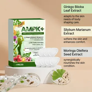AMPK+ Patch de soin corporel brûleur de graisse aux extraits de Ginkgo et Moringa