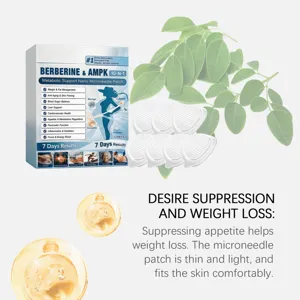 Vue détaillée des patchs à micro-aiguilles Berbérine & AMPK pour la suppression de l'appétit