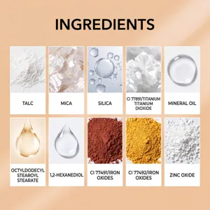 Ingredienti dettagliati della polvere minerale inclusi mica e ossido di zinco