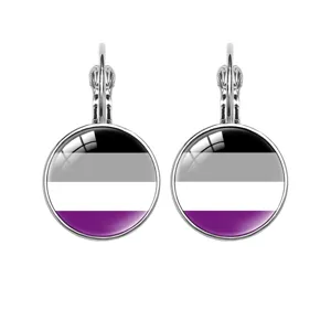Elegant silver French hook earrings featuring the asexual pride flag glass cabochon
