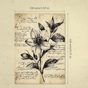Vintage aesthetic scrapbook material paper with lily sketch 100x140mm dimension guide