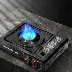 Portable Camping Gas Stove Alloy Windproof Outdoor Burner For Picnic Home Hot Pot 2.1KW With Carrying Case Black