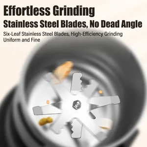 Close-up of six-leaf stainless steel blades in a household electric powder grinder.
