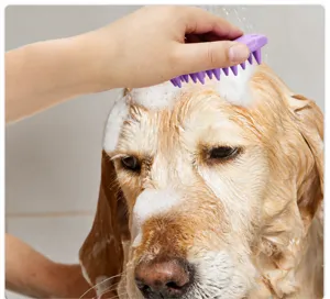 Pet bath brush for cats and dogs, soft silicone massage brush for comfortable bathing.