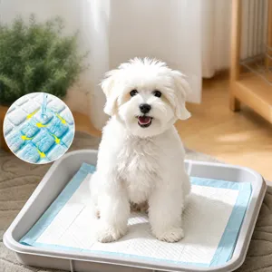 Wegwerp Huisdier Plasmatten Verdikt Waterabsorberend Hondentraining Matten Lekvrij Puppy Matten Huisdier Reinigingsbenodigdheden