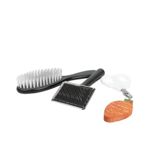 Kit Toelettatura Animali Cane Gatto Set Strumenti Toelettatura Spazzola Cardatore Spazzola Setole Tagliaunghie E Giocattolo Carota