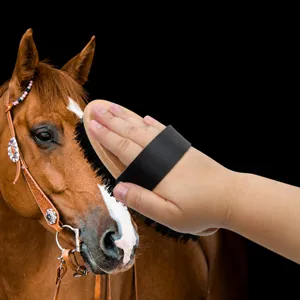 Equestrian horse brush with wooden handle leather strap and metal rivet fixing for cleaning.