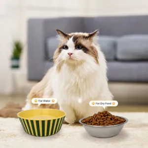 Dual use pet bowl set for cats and dogs with stainless steel and striped feeding bowls.