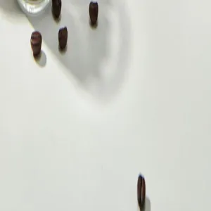 Kaffeefilterpapier Detailansicht mit frischen Kaffeebohnen und Zubehör für Filterkaffee