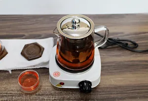 Compacte elektrische kookplaat mini fornuis met glazen theepot voor laboratorium keuken