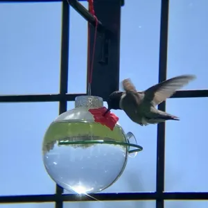 Hand hummingbird feeder clear glass bulb with red flower port for outdoor garden decor