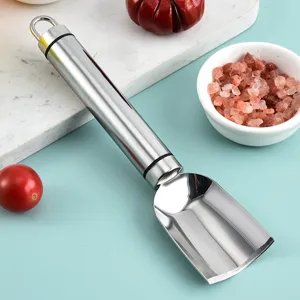 Cuchillo de Talla de Verduras de Acero Inoxidable Herramienta de Cocina Vista Principal