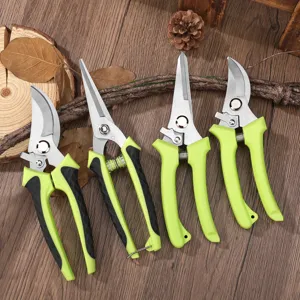 Set von 4 Garten-Baumscheren mit grünen Griffen zum Schneiden von Blumen und Obst.