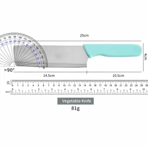 Stainless steel kitchen cleaver knife with light blue plastic handle, lightweight 81g.