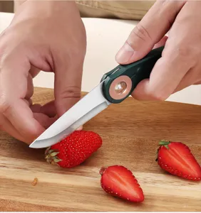 Compact stainless steel folding fruit knife, portable mini pocket knife for daily kitchen use.