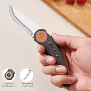 Stainless steel folding fruit knife portable pocket mini knife with non-slip handle.