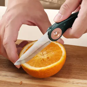 Portable stainless steel folding fruit knife for home kitchen use, mini pocket peeler tool.