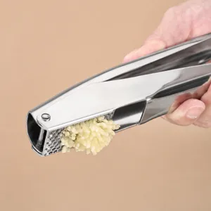 Stainless steel garlic press kitchen tool with ergonomic lever design for easy garlic mincing.