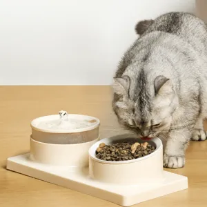Automatic pet water dispenser and food bowl set with 15-degree tilted neck protection design.