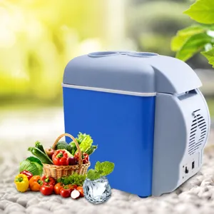 Portable Car Refrigerator Mini Fridge Cool And Warm Dual Use Electric Cooler For Vehicle And Home ABS Material