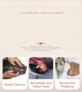 Pet dental care infographic detail image showing dog and cat oral health problems clearly.