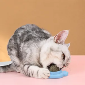 Catnip wall ball toy with 360 degree rotation design, interactive pet chewing toy for cats.
