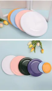 Detailweergave van hondenspeelgoed frisbee met kleurrijke bijtbestendige trainingsschijven.