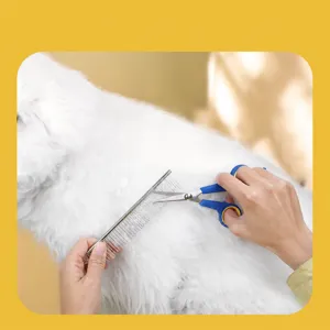 Komplettes Hunde-Grooming-Set mit Edelstahlschere und Metallkamm fur die Haarpflege.